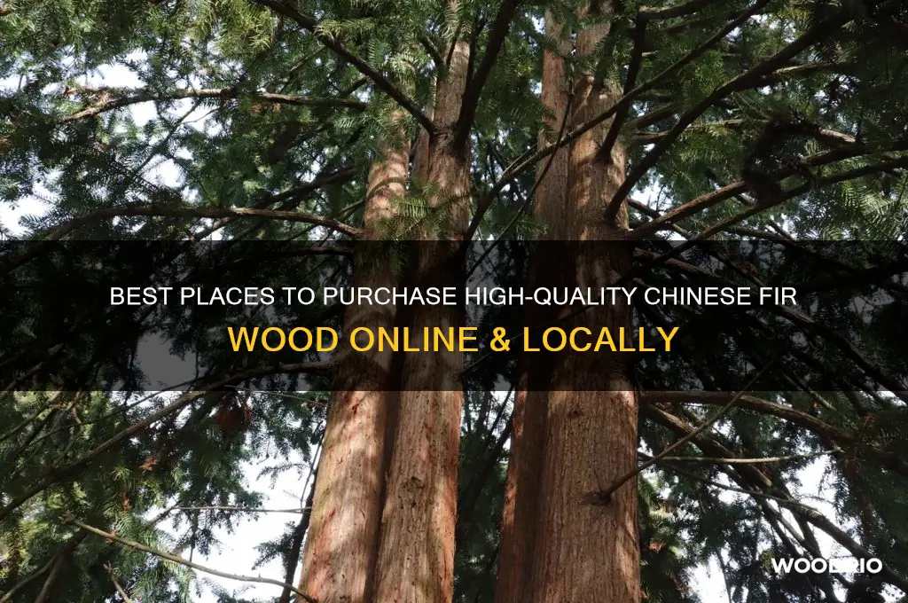 where to buy chinese fir wood