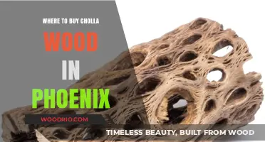 Best Places to Buy Cholla Wood in Phoenix, Arizona
