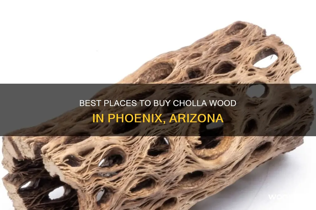 where to buy cholla wood in phoenix