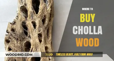 Discover the Best Places to Buy Cholla Wood Online and Locally