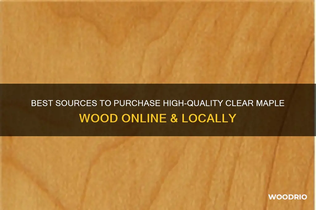 where to buy clear maple wood