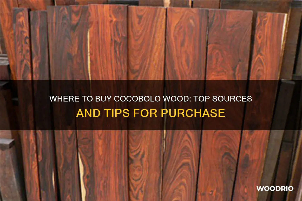 where to buy cocobolo wood