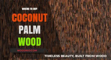 Discover the Best Places to Buy Coconut Palm Wood Online