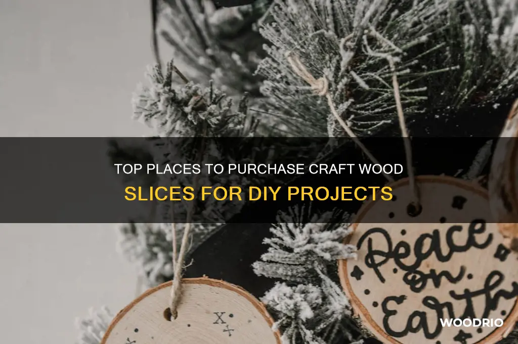where to buy craft wood slices