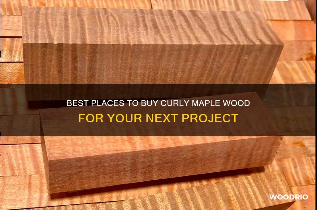 where to buy curly maple wood