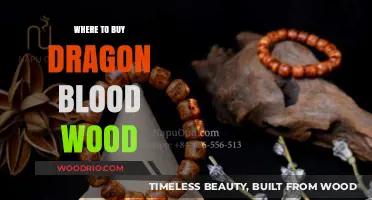 Discover the Best Places to Buy Authentic Dragon Blood Wood