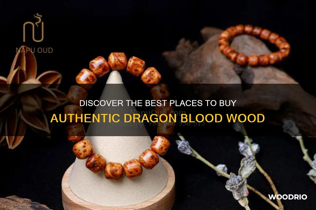 where to buy dragon blood wood