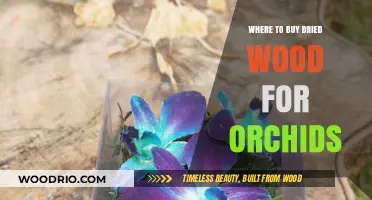Best Places to Purchase Dried Wood for Orchid Care and Mounting