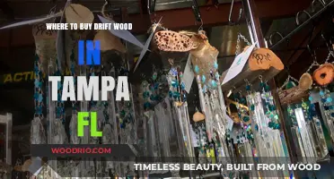 Discover Tampa's Best Spots to Buy Unique Driftwood Pieces