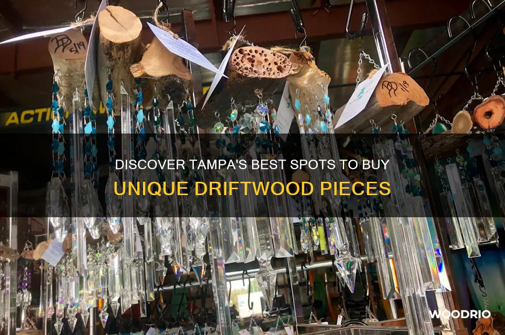 where to buy drift wood in tampa fl