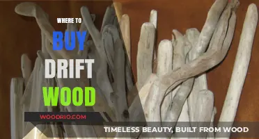 Discover the Best Places to Buy Driftwood for Your Projects