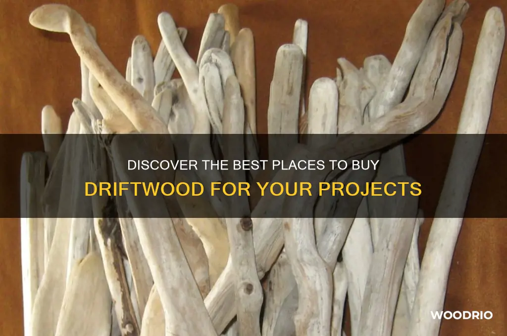 where to buy drift wood