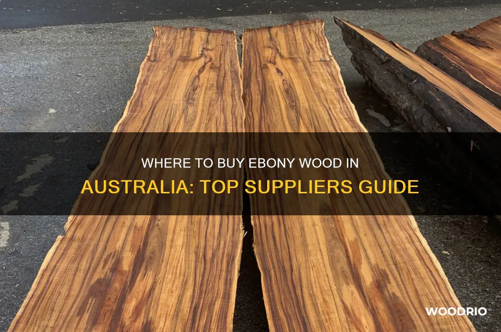 where to buy ebony wood in australia