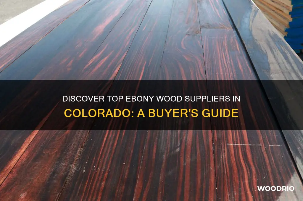 where to buy ebony wood in colorado