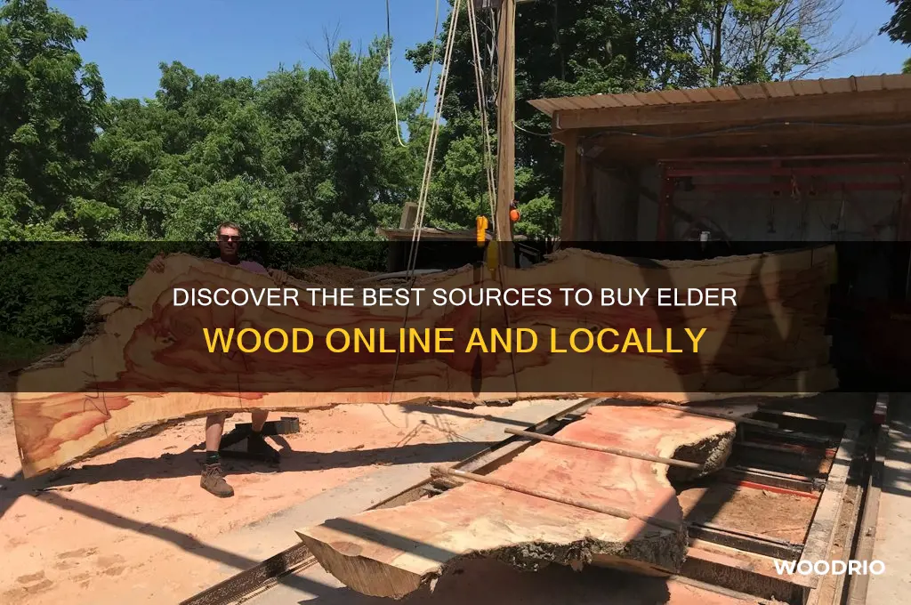 where to buy elder wood