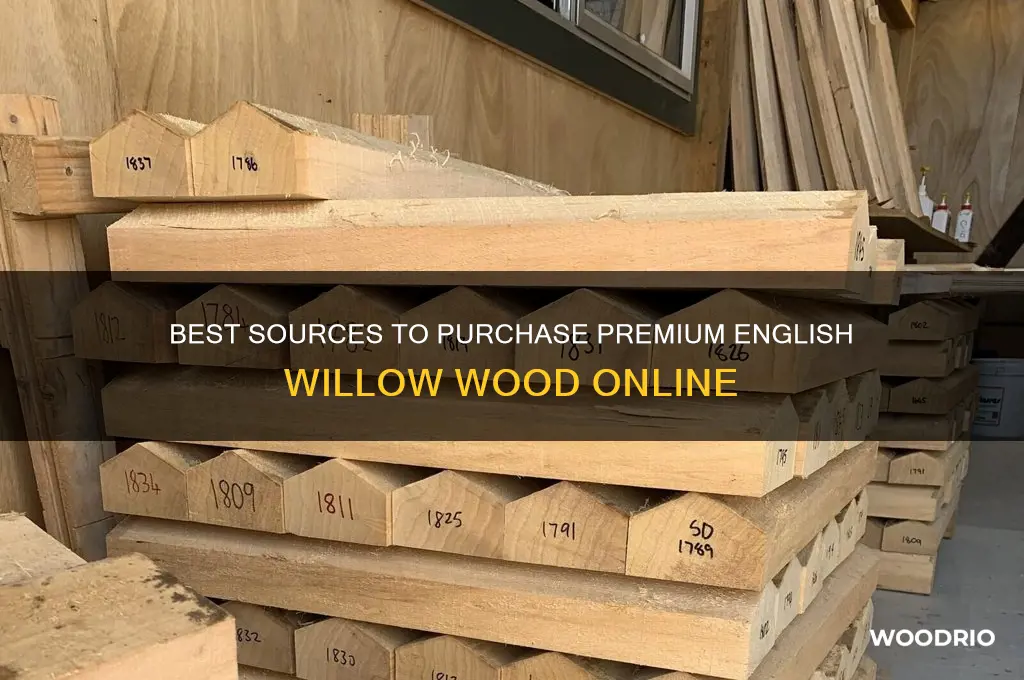 where to buy english willow wood