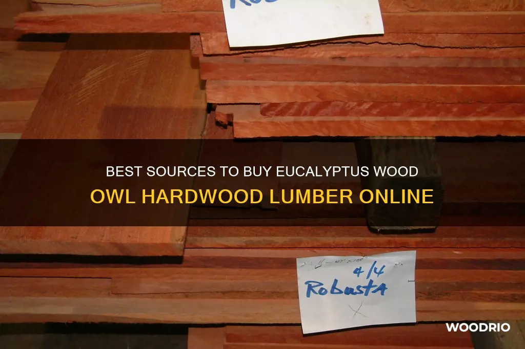 where to buy eucalyptus wood owl hardwood lumber