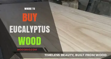 Discover the Best Places to Purchase Eucalyptus Wood Online & Locally