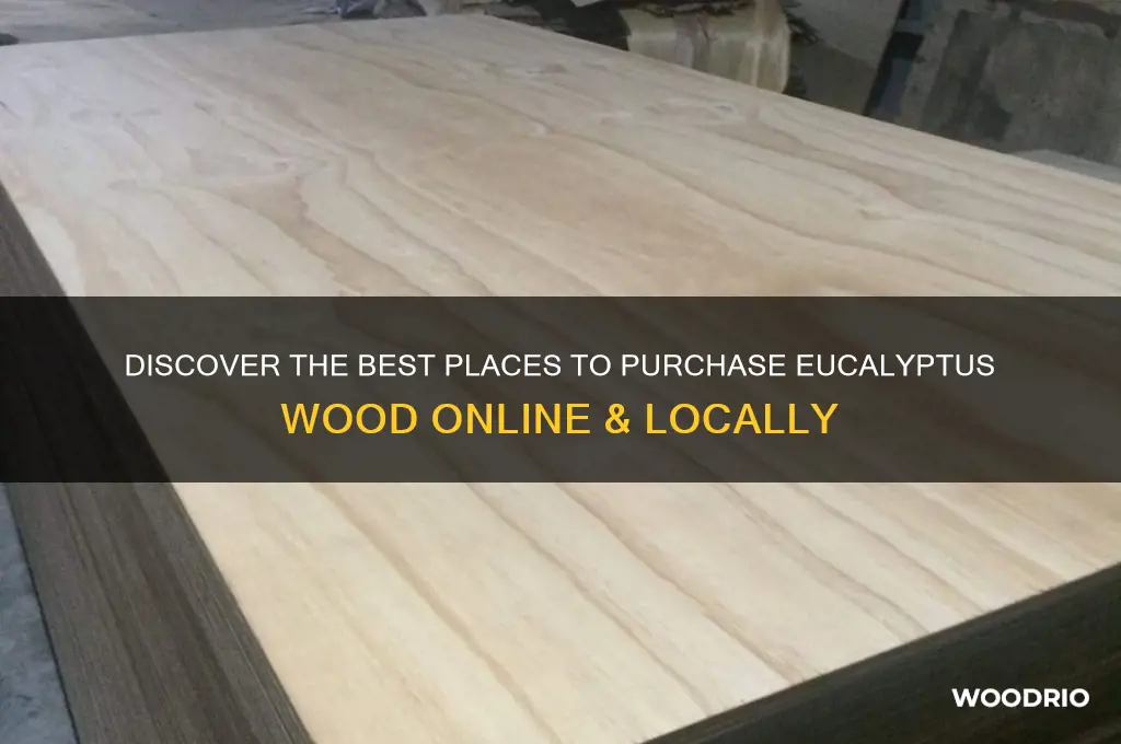 where to buy eucalyptus wood