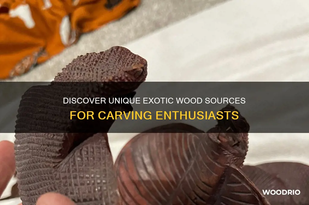 where to buy exotic wood for carving