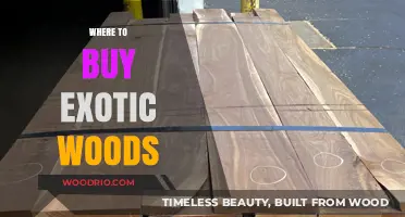 Discover Unique Exotic Woods: Top Sources for Rare Lumber Purchases