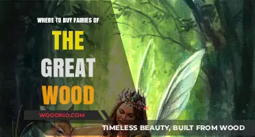 Discover the Best Places to Buy Fairies of the Great Wood
