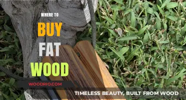 Best Places to Buy Fat Wood for Fire Starting Success