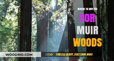 Discover Muir Woods Entry Fees and Best Ticket Purchase Locations