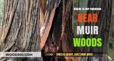 Best Firewood Suppliers Near Muir Woods for Cozy Outdoor Adventures