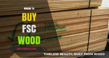 Sustainable Choices: Top Sources to Buy FSC-Certified Wood Globally