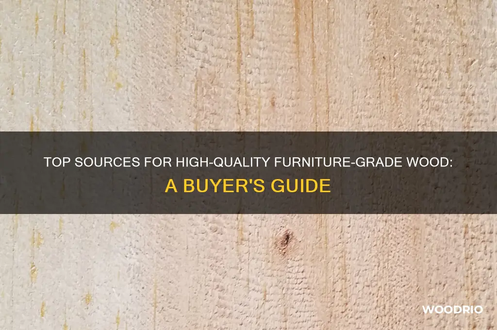 where to buy furniture grade wood