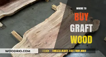 Best Places to Purchase Quality Graft Wood for Gardening Success