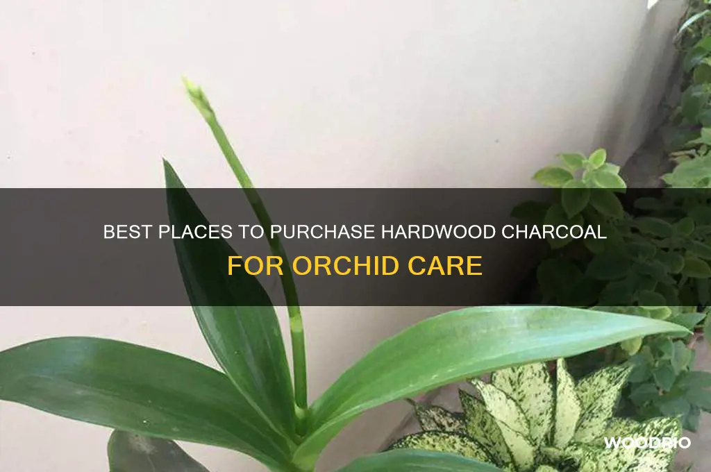 where to buy hard wood characol for orchids
