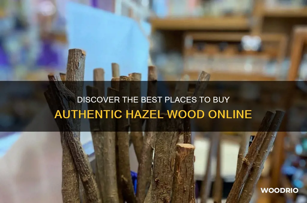 where to buy hazel wood