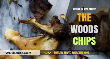 Discover the Best Places to Buy Hen of the Woods Chips