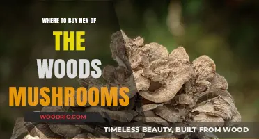 Discover Top Spots to Buy Fresh Hen of the Woods Mushrooms