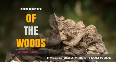 Discover the Best Places to Buy Fresh Hen of the Woods Mushrooms