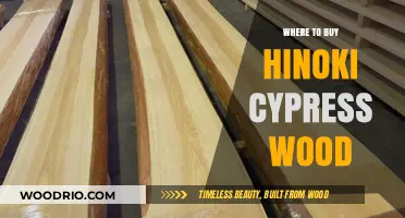 Discover the Best Sources to Buy Hinoki Cypress Wood Online