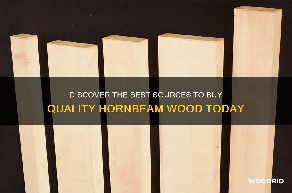 where to buy hornbeam wood