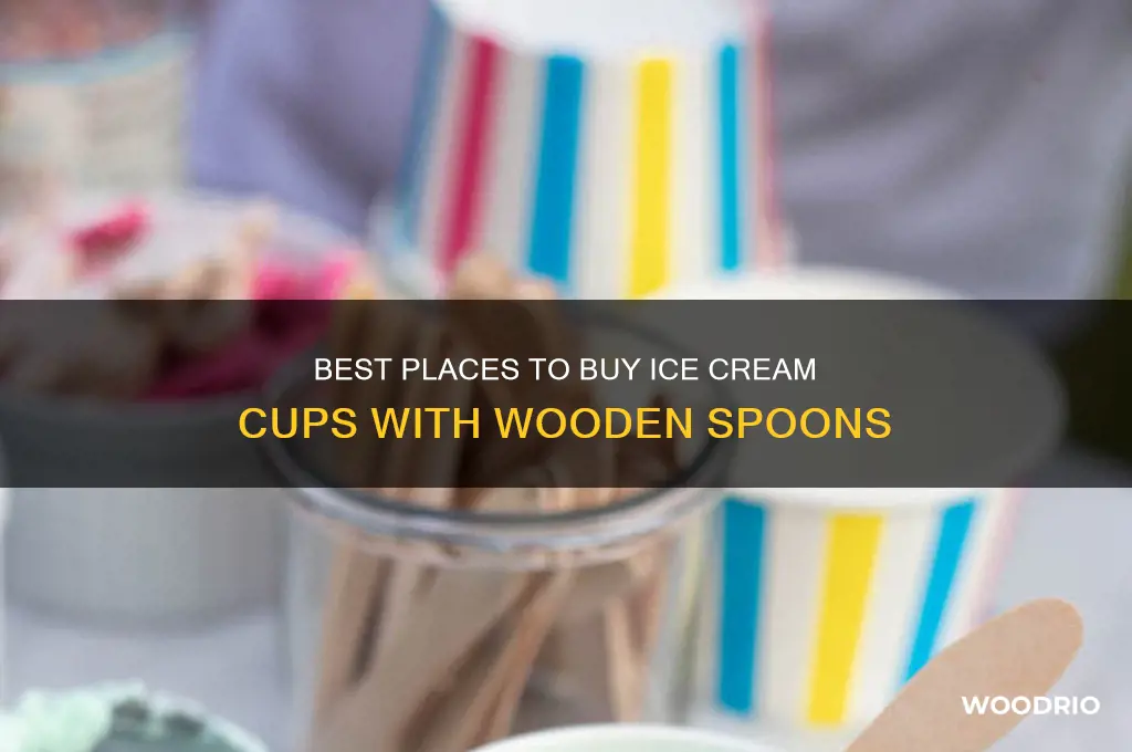 where to buy ice cream cups with wooden spoon