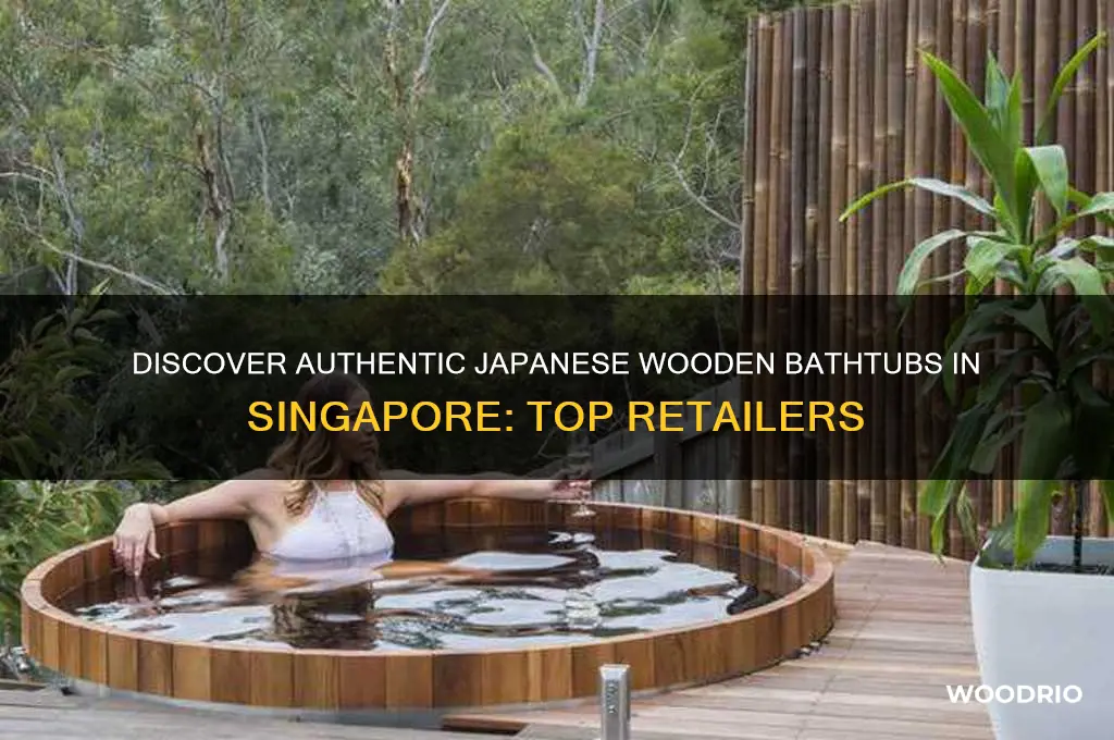 where to buy japanese wooden bathtub in singapore