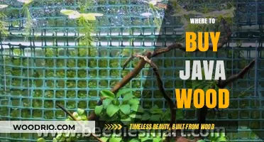 Best Places to Purchase High-Quality Java Wood for Aquariums