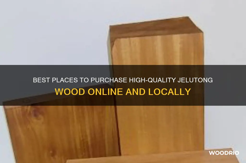 where to buy jelutong wood