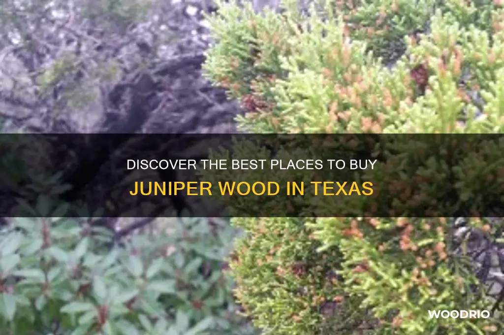 where to buy juniper wood in texas