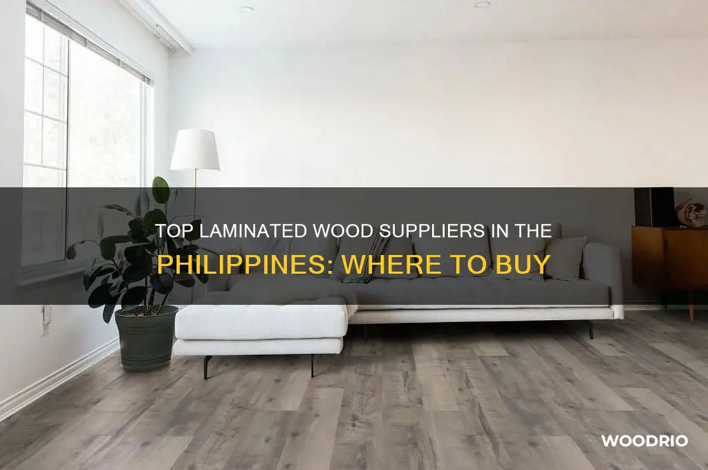 where to buy laminated wood philippines
