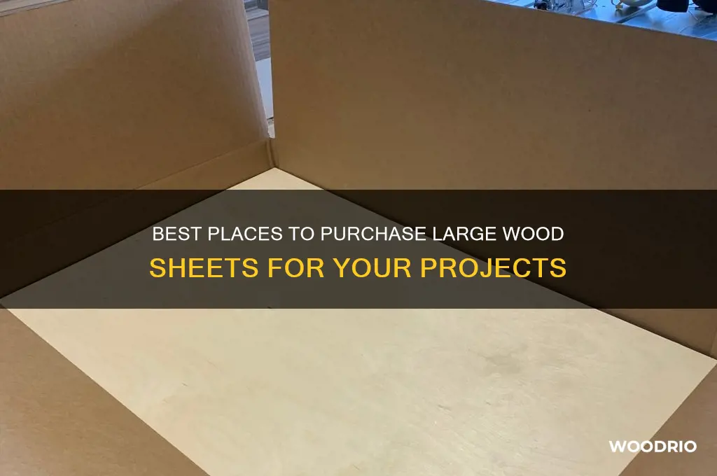 where to buy large sheets of wood