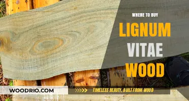 Where to Buy Lignum Vitae Wood: Top Sources and Tips