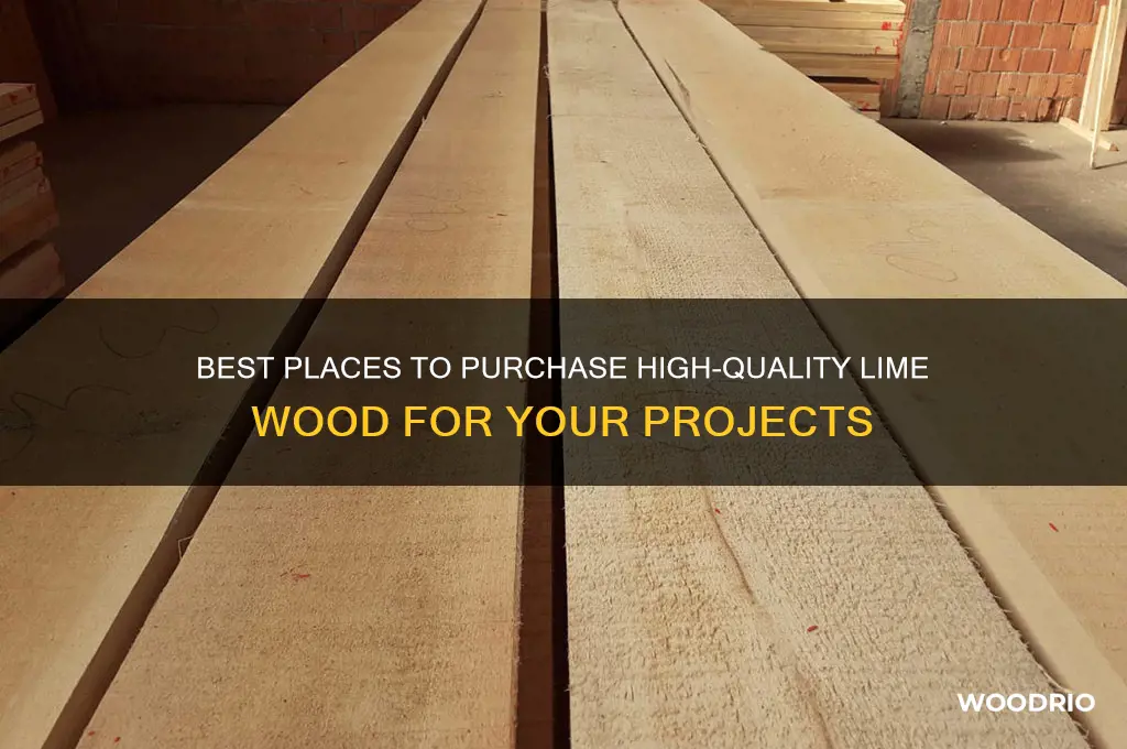 where to buy lime wood