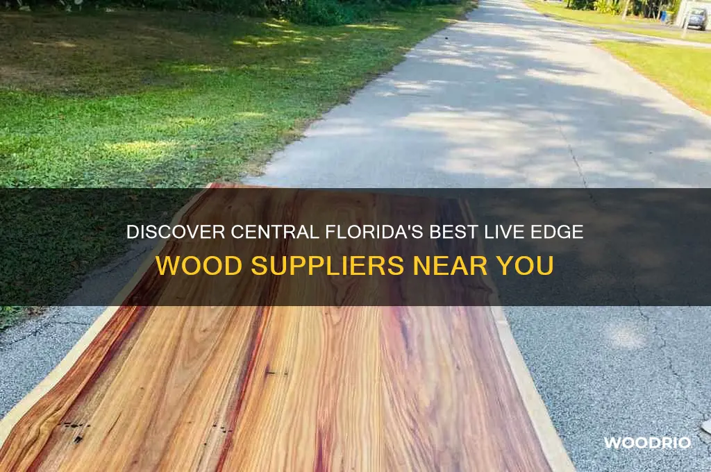 where to buy live edge wood in central florida