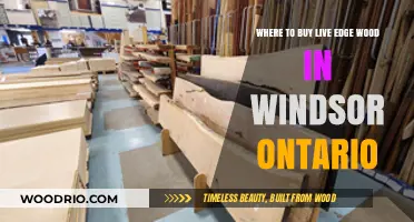 Discover Windsor's Best Spots for Live Edge Wood Purchases